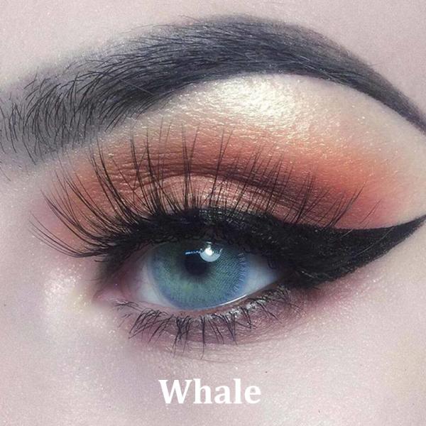 Whale - Еднодневни цветни контактни лещи 